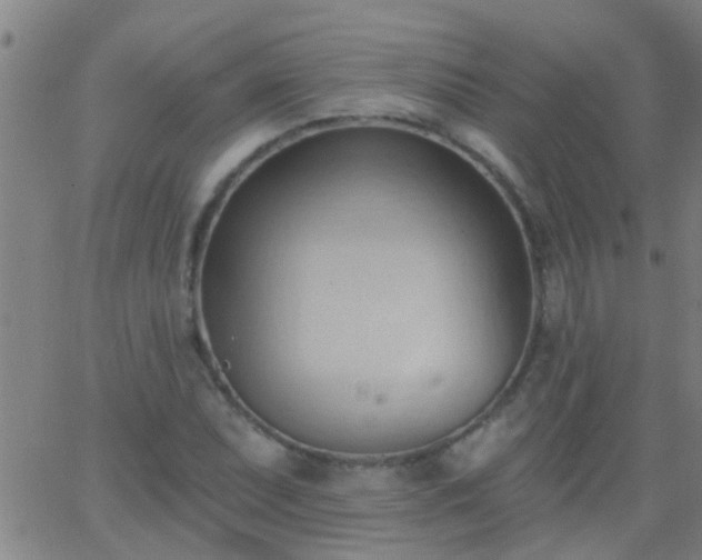 X0000062891071200601201840