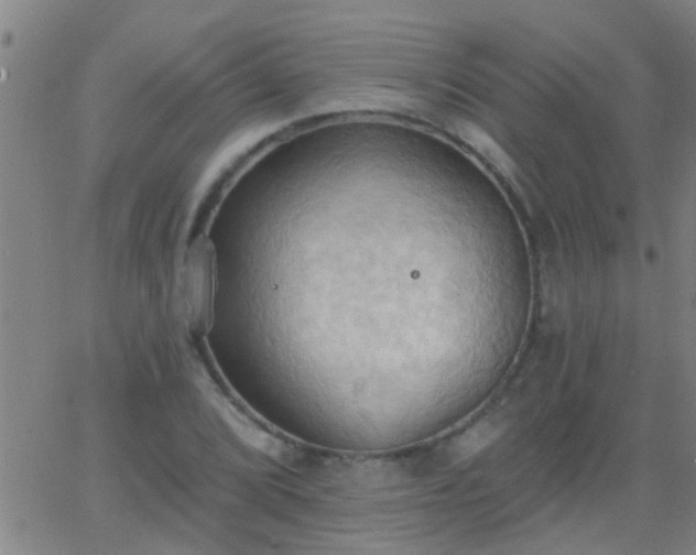 X0000062891072200601201840