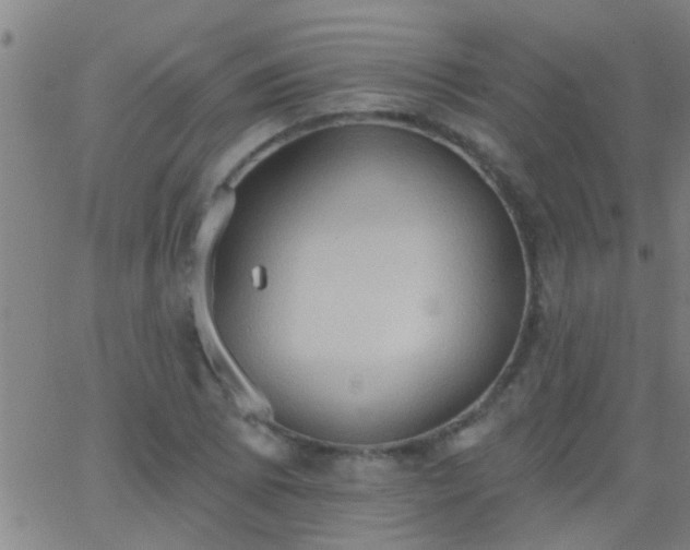 X0000062891073200601201840