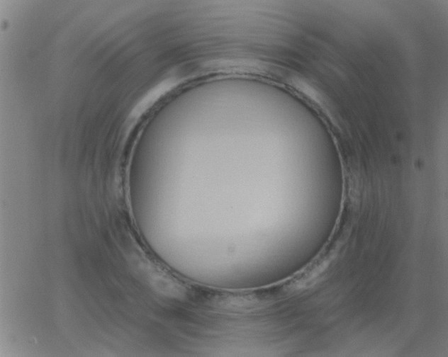 X0000062891074200601201840