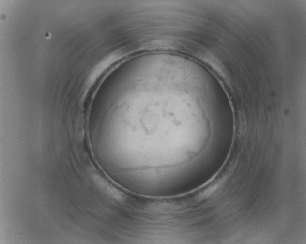 X0000062891075200601201840