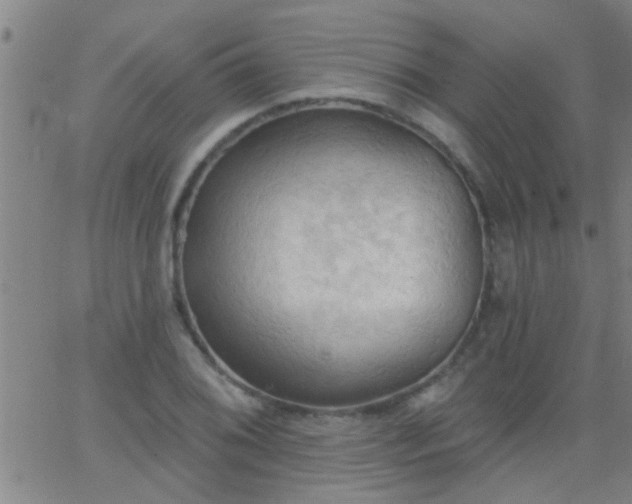 X0000062891076200601201840