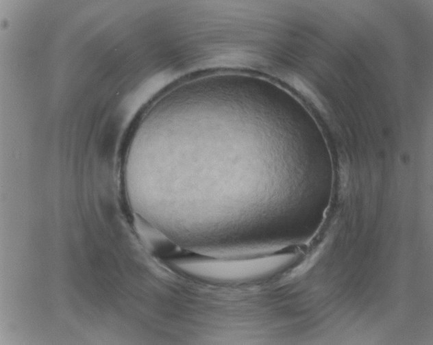 X0000062891077200601201840