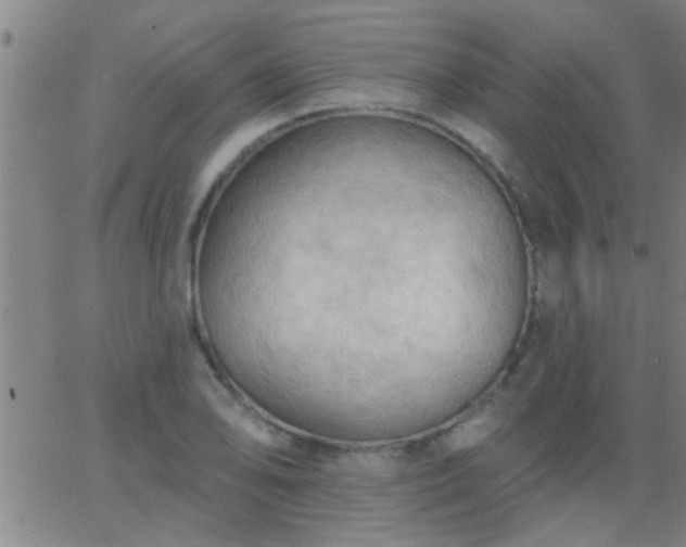 X0000062891078200601201840