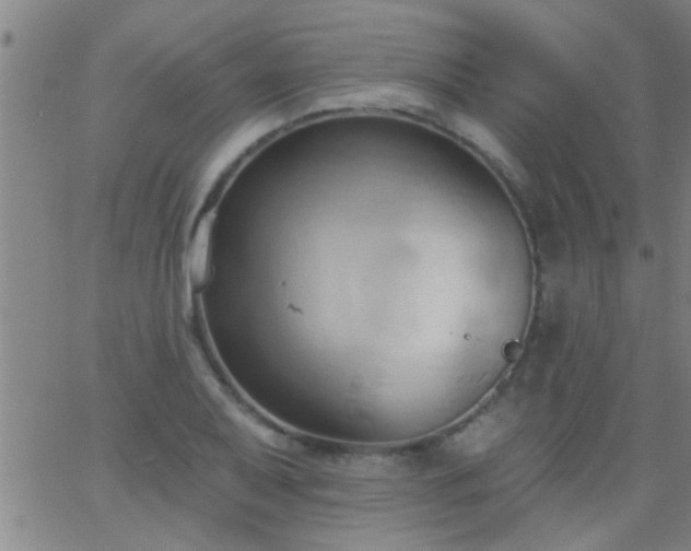 X0000062891079200601201840