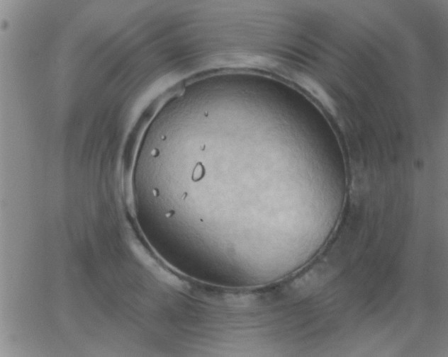 X0000062891080200601201840