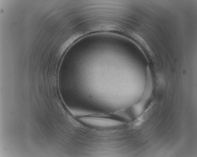 X0000062891081200601201840