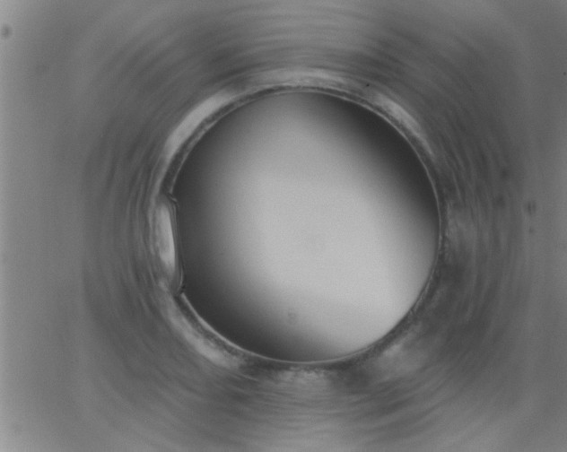 X0000062891082200601201840