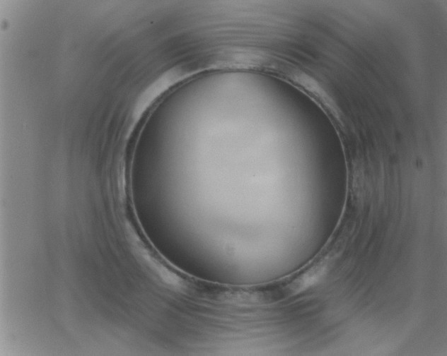 X0000062891083200601201840