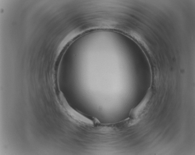 X0000062891085200601201839