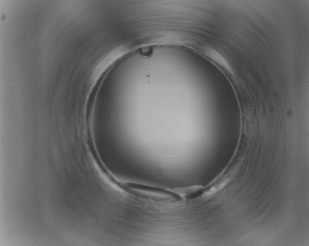 X0000062891087200601201839