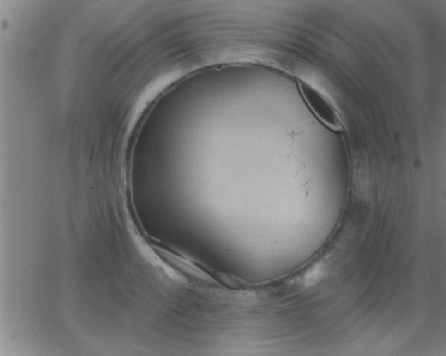 X0000062891088200601201839