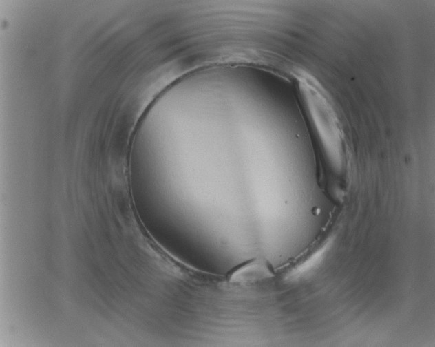 X0000062891089200601201839