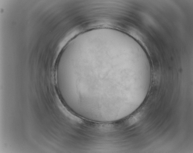 X0000062891090200601201839