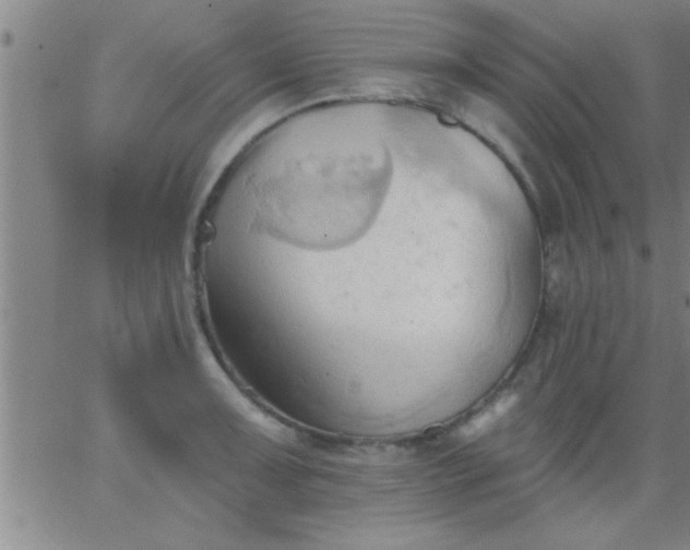 X0000062891091200601201839