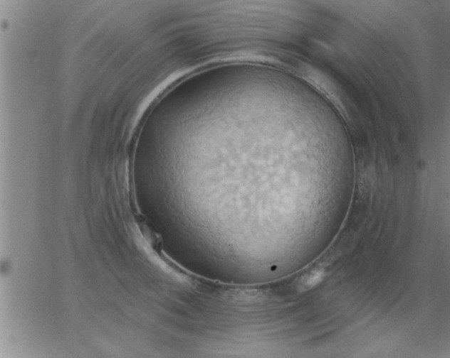 X0000062891092200601201839