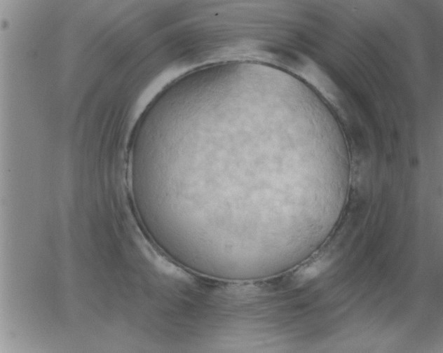 X0000062891094200601201839