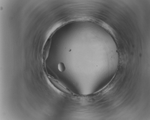 X0000062891095200601201839