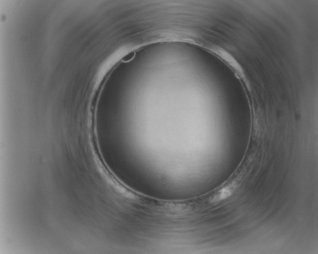 X0000062891096200601201839