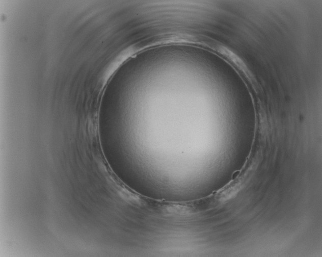 X0000062891097200601201839