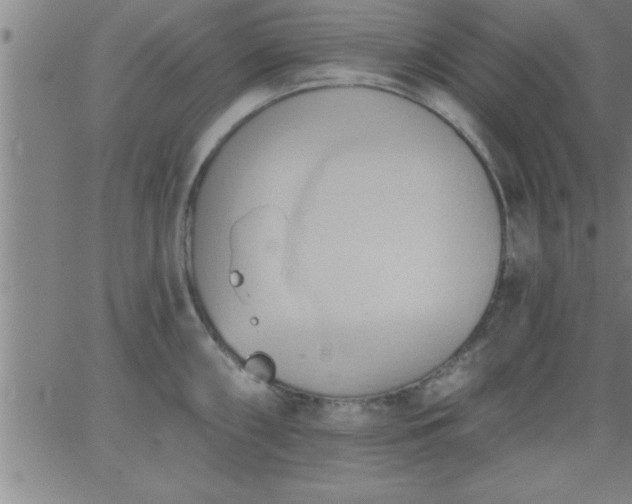 X0000062891098200601201839