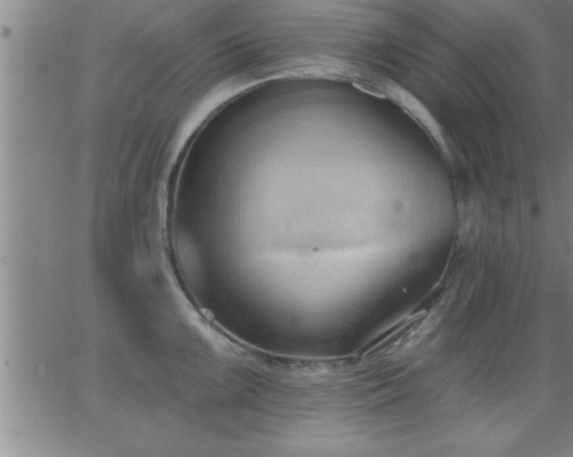 X0000062891099200601201839