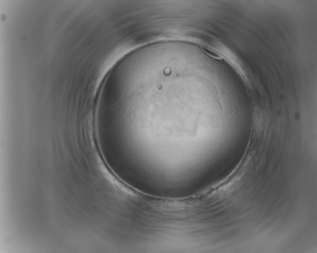 X0000062891100200601201839