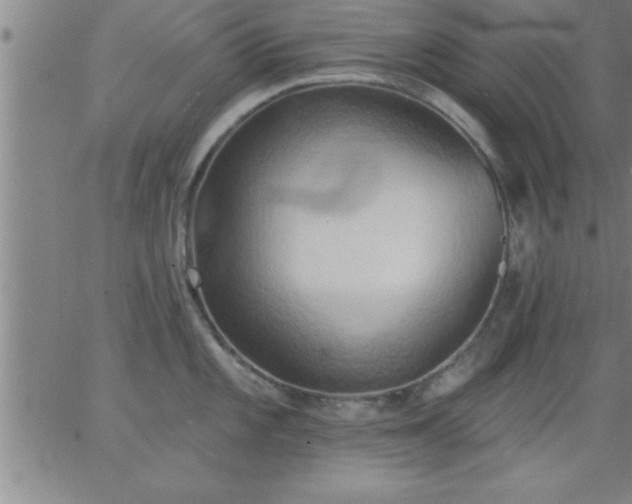 X0000062891101200601201839