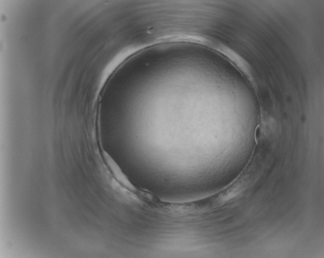 X0000062891102200601201839