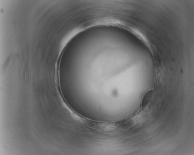 X0000062891103200601201839