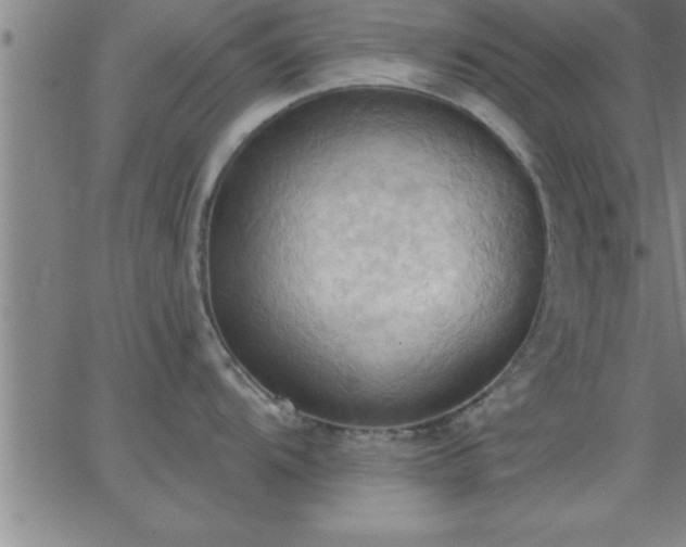 X0000062891104200601201839