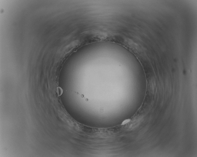 X0000062891105200601201838