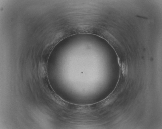 X0000062891107200601201838