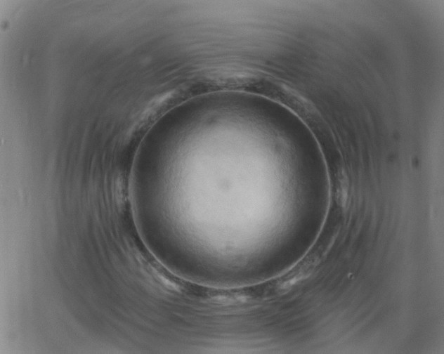 X0000062891108200601201838