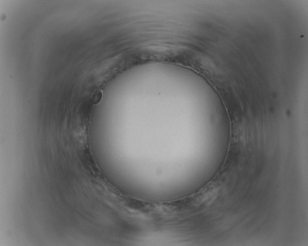 X0000062891109200601201838