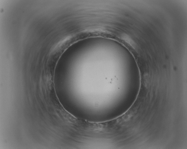 X0000062891111200601201838