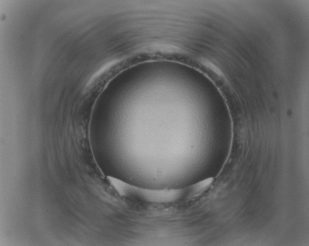 X0000062891112200601201839