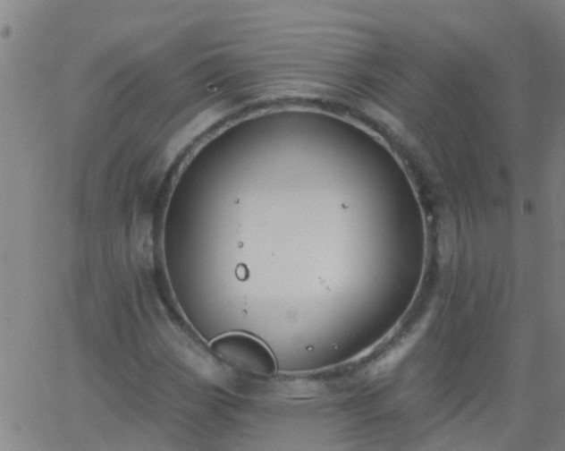 X0000062891113200601201839