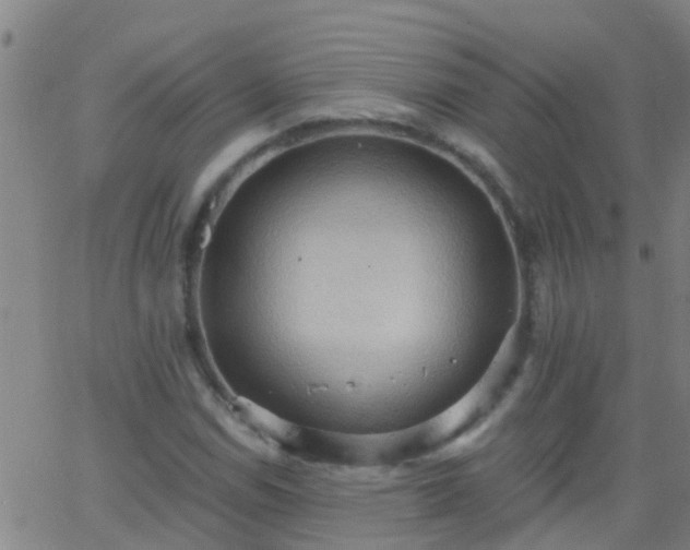 X0000062891114200601201839