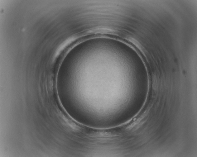 X0000062891115200601201839