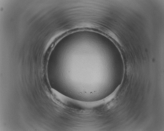 X0000062891116200601201839