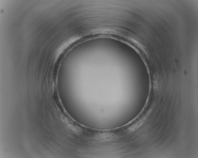 X0000062891117200601201839