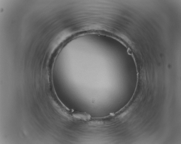 X0000062891118200601201839