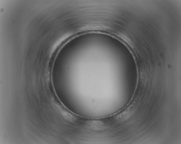 X0000062891119200601201839