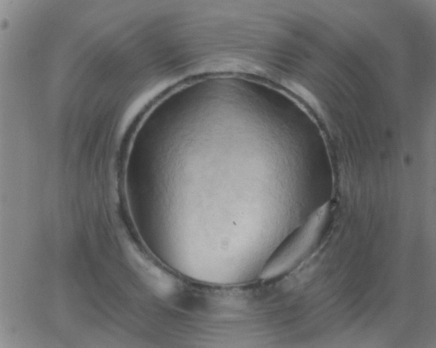 X0000062891120200601201839