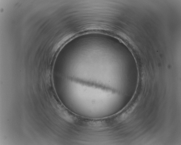 X0000062891121200601201839