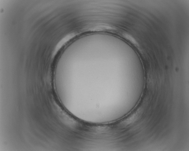 X0000062891122200601201839