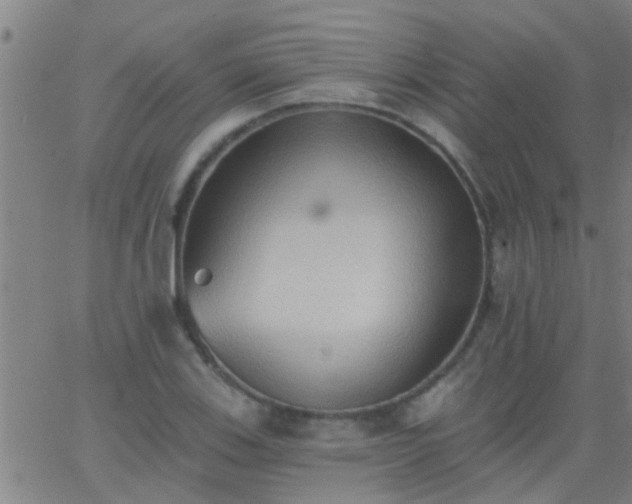 X0000062891123200601201839