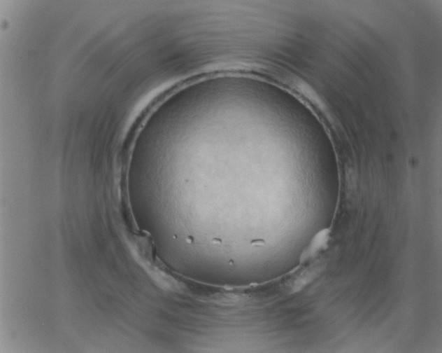 X0000062891124200601201839