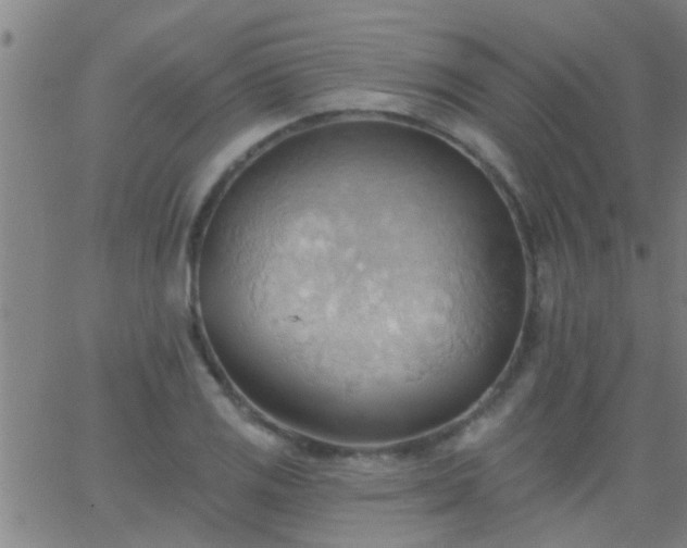 X0000062891125200601201839